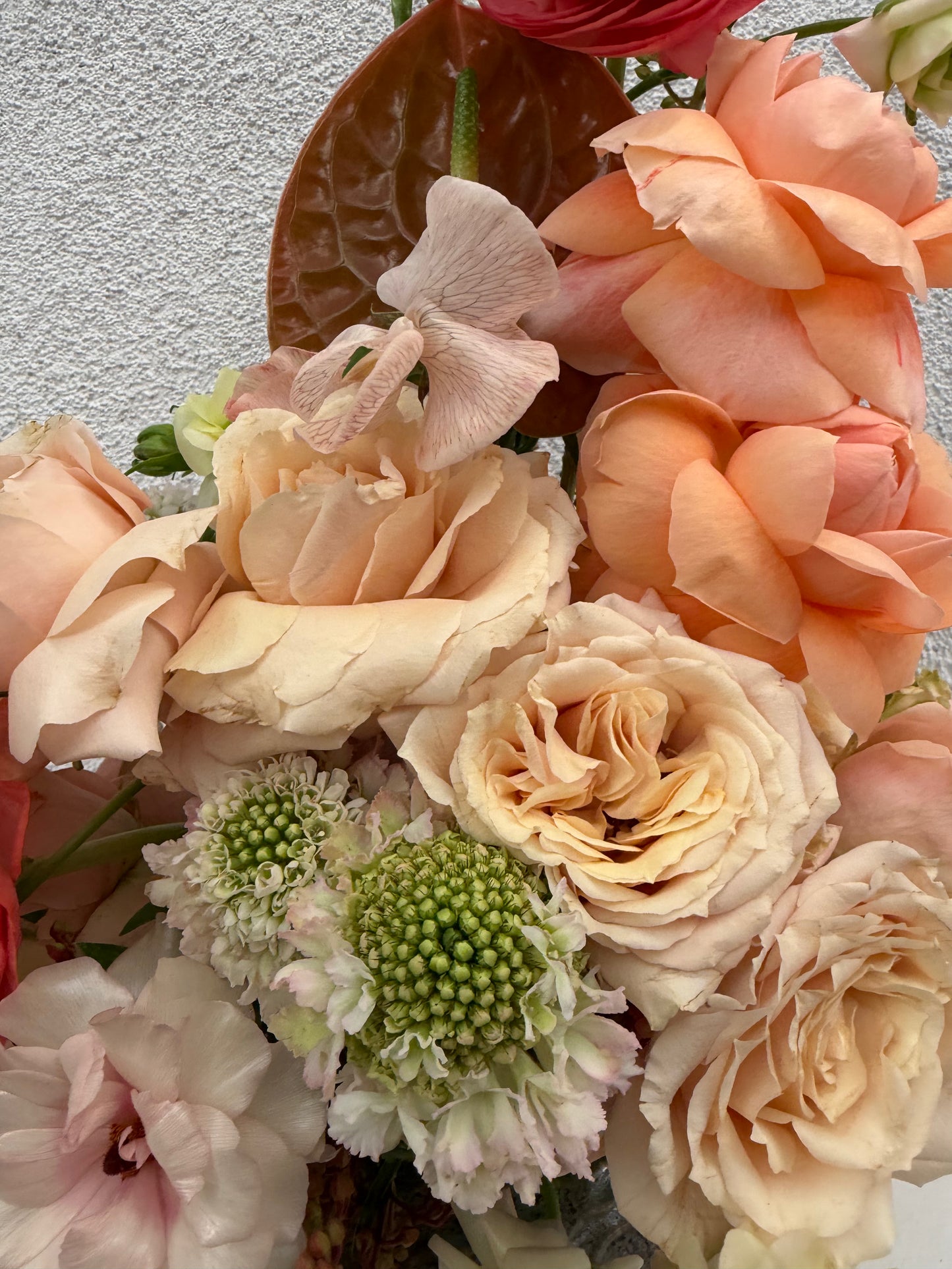 Hay Gurl 💕 (small)