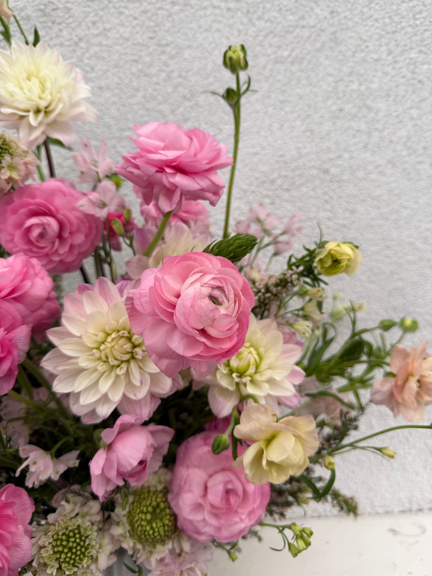 Sassy Mary 💕 (medium)