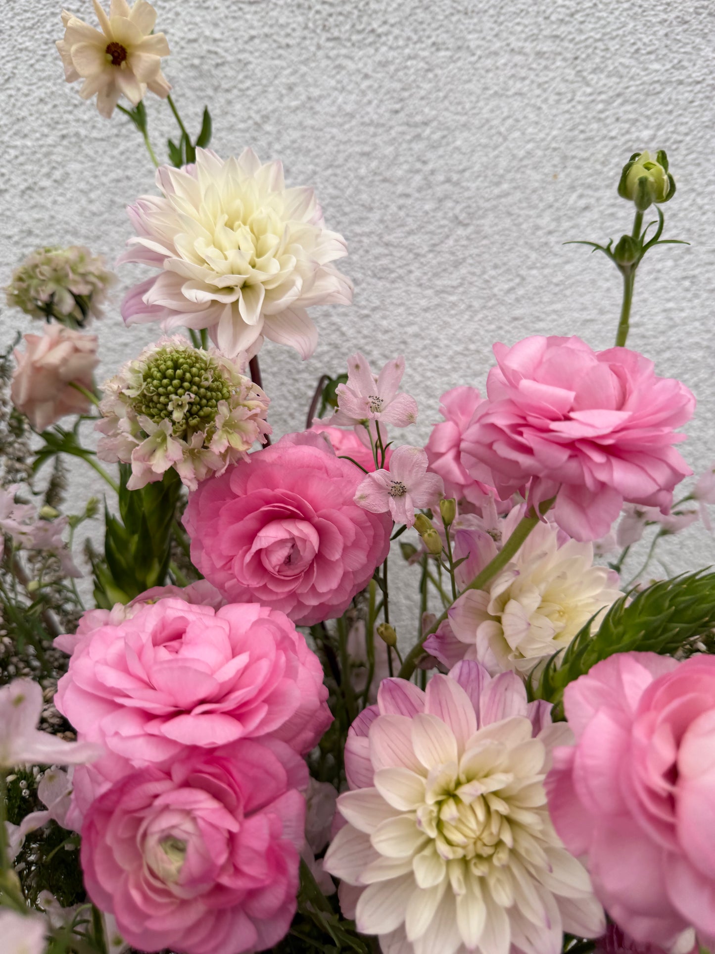 Sassy Mary 💕 (medium)