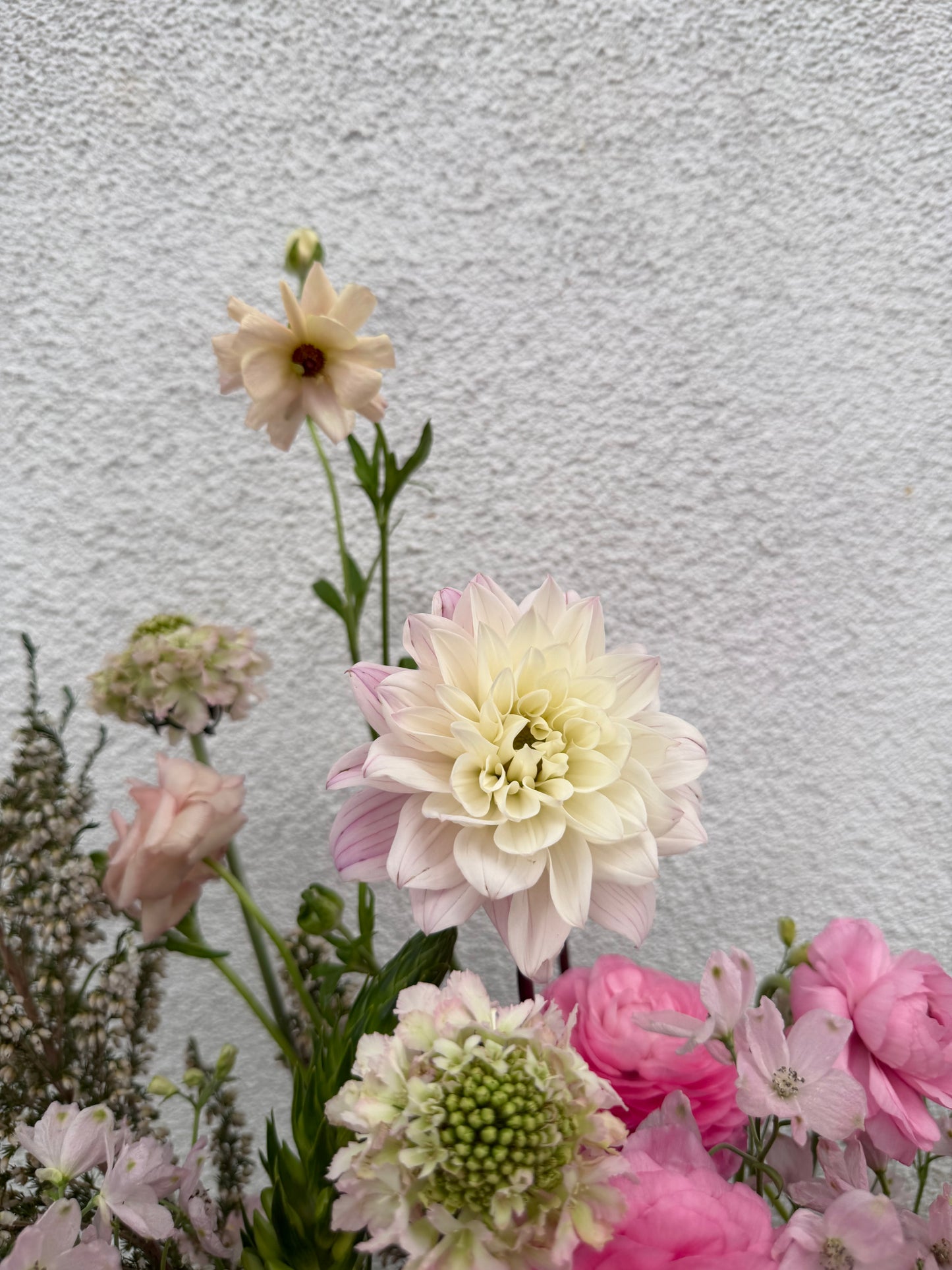 Sassy Mary 💕 (medium)