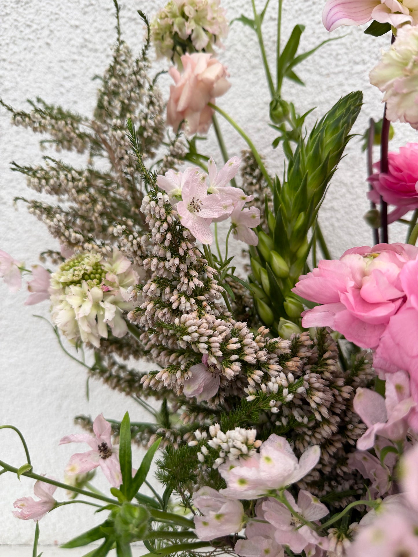 Sassy Mary 💕 (medium)