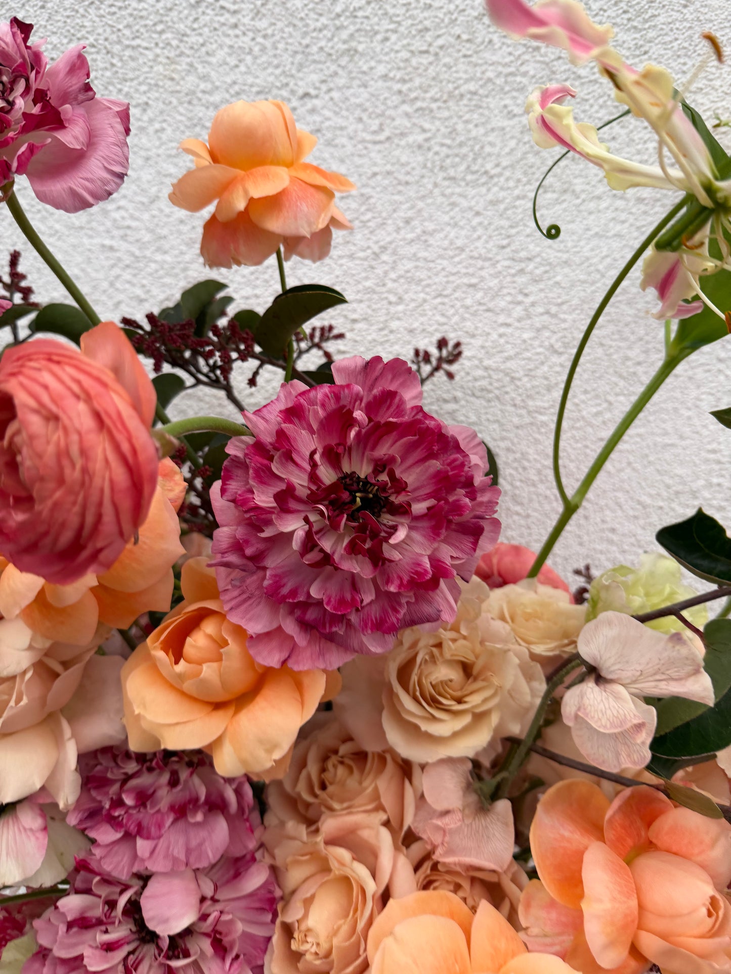 Miss Mama 💕 (large)