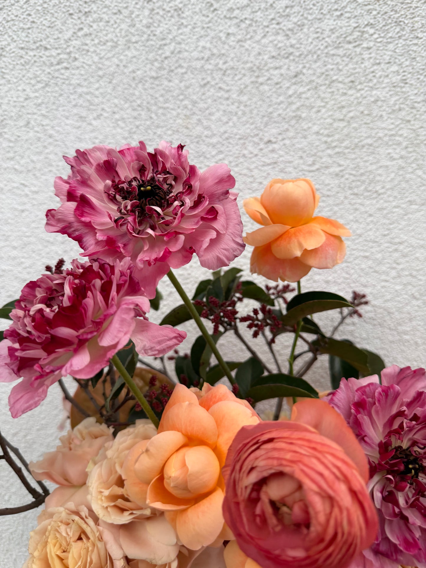 Miss Mama 💕 (large)