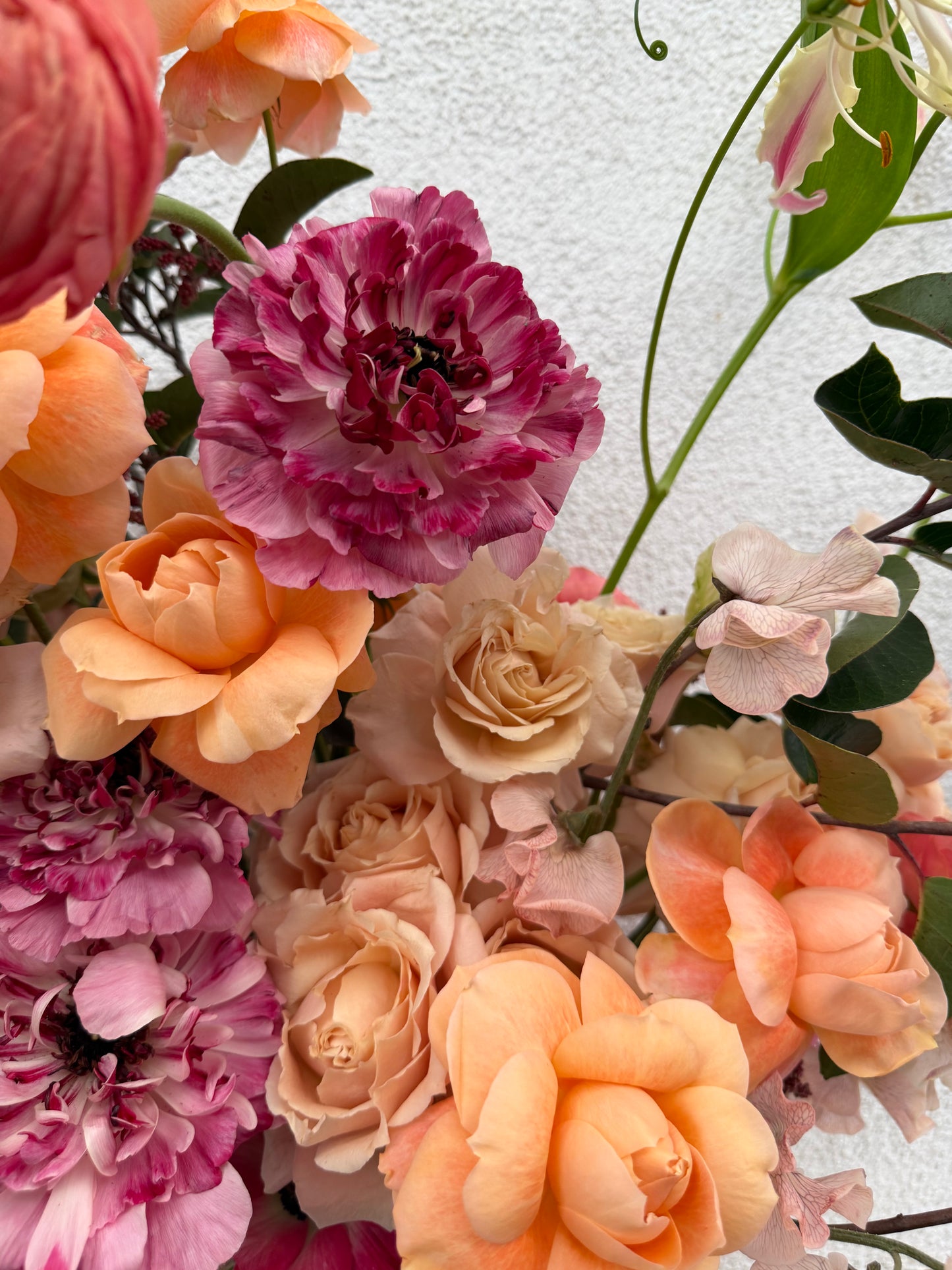 Miss Mama 💕 (large)